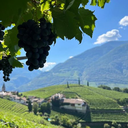 Appartement Weingut Eberlehof à Bozen Extérieur photo