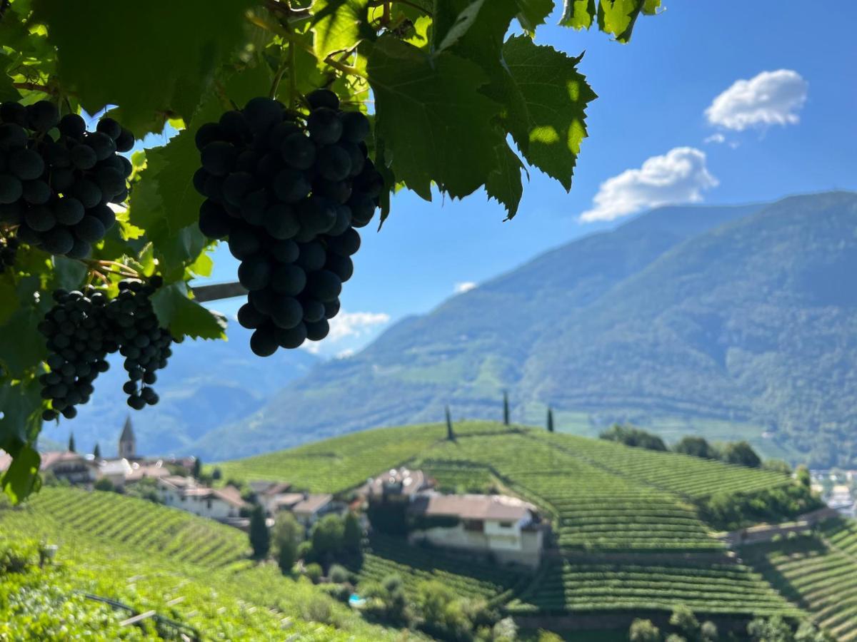 Appartement Weingut Eberlehof à Bozen Extérieur photo