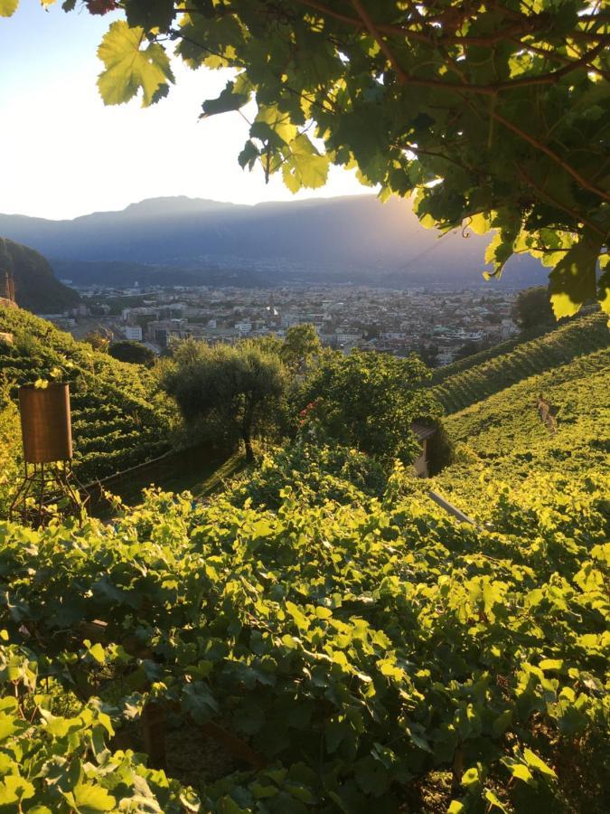 Appartement Weingut Eberlehof à Bozen Extérieur photo